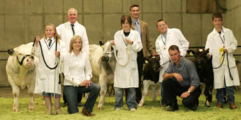 The 12-16 age group Young Handler winners pictured with organiser and sponsors of the event. Included from left are: Jane Noble, Antrim, 1st; Jim Ervine, Chairman, NI Belgian Blue Club; Rachel Parry, Lancaster, Judge; Naomi Gregg, Ahoghill, 2nd; Philip Halhead, Norbreck Genetics, Sponsor; Thomas McKee, Kilkeel, 3rd; Robert McCormick, Secretary, NI Belgian Blue Club and Stephen Gordon, Kilkeel, 4th.